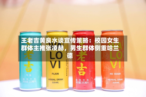 王老吉黄良水谈宣传策略：校园女生群体主推张凌赫，男生群体侧重哈兰德-第3张图片