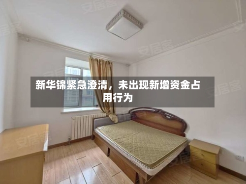 新华锦紧急澄清，未出现新增资金占用行为-第2张图片