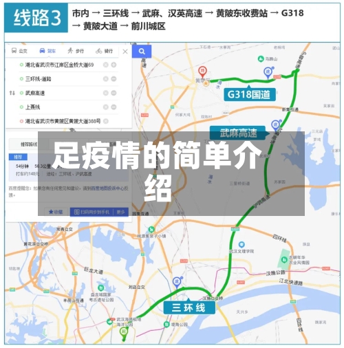 足疫情的简单介绍