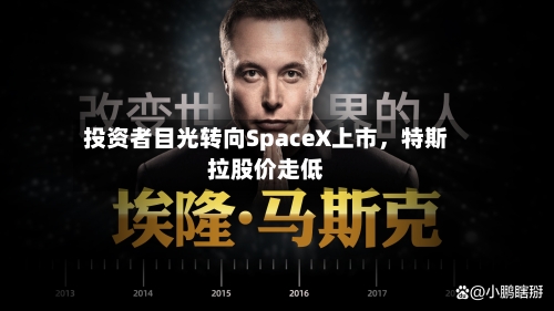 投资者目光转向SpaceX上市，特斯拉股价走低-第2张图片
