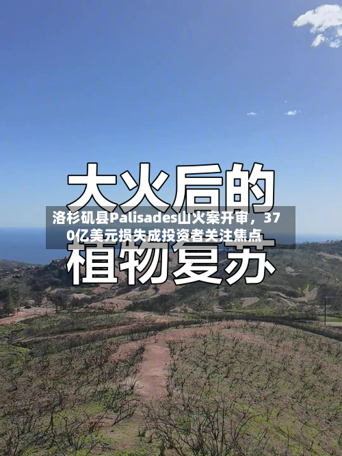 洛杉矶县Palisades山火案开审，370亿美元损失成投资者关注焦点-第3张图片