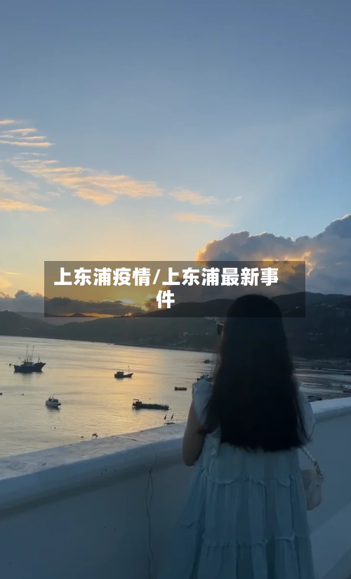 上东浦疫情/上东浦最新事件