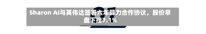 Sharon AI与英伟达签署六年算力合作协议，股价早盘下挫7.1%-第2张图片