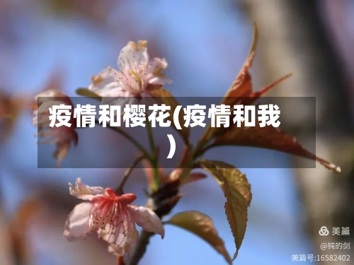 疫情和樱花(疫情和我)-第1张图片
