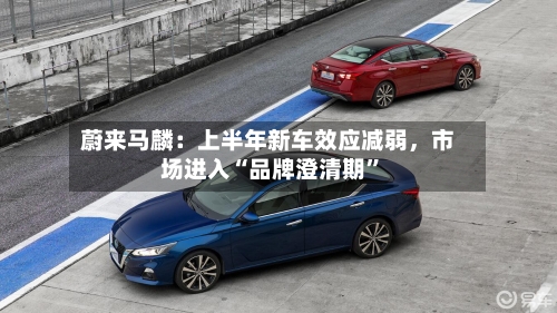 蔚来马麟：上半年新车效应减弱，市场进入“品牌澄清期”-第2张图片