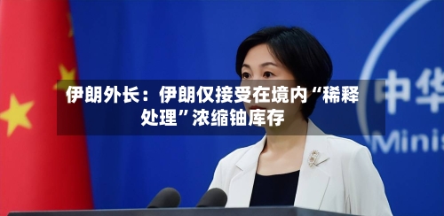 伊朗外长：伊朗仅接受在境内“稀释处理”浓缩铀库存-第3张图片
