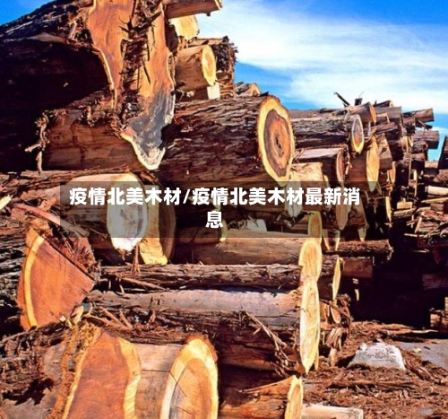 疫情北美木材/疫情北美木材最新消息-第2张图片
