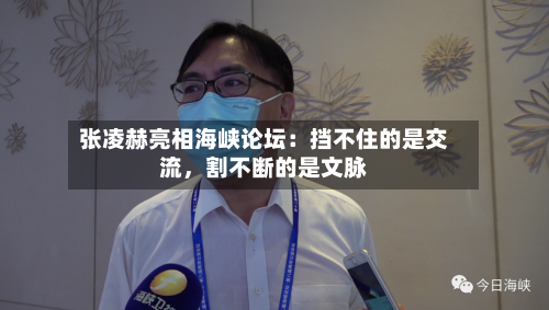张凌赫亮相海峡论坛：挡不住的是交流，割不断的是文脉-第2张图片