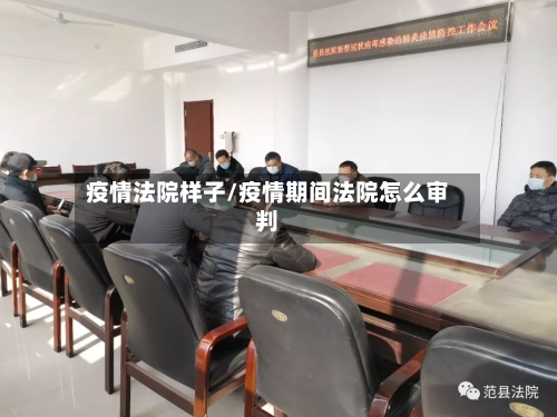 疫情法院样子/疫情期间法院怎么审判-第2张图片