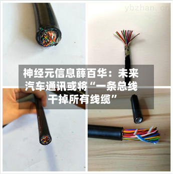 神经元信息薛百华：未来汽车通讯或将“一条总线干掉所有线缆”-第2张图片
