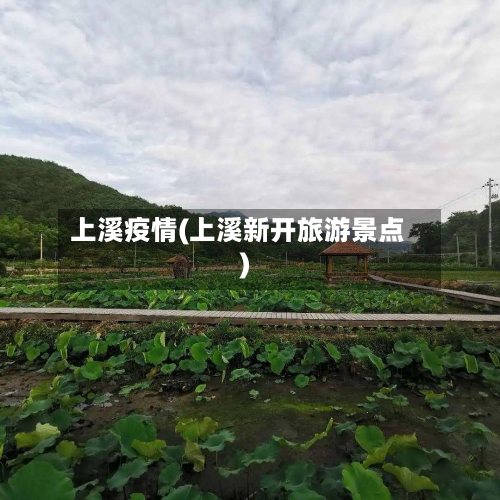 上溪疫情(上溪新开旅游景点)-第3张图片