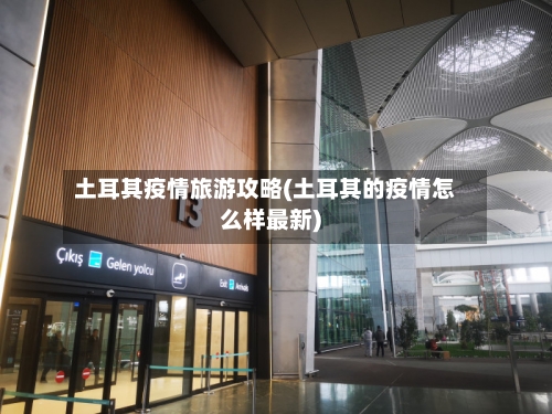 土耳其疫情旅游攻略(土耳其的疫情怎么样最新)