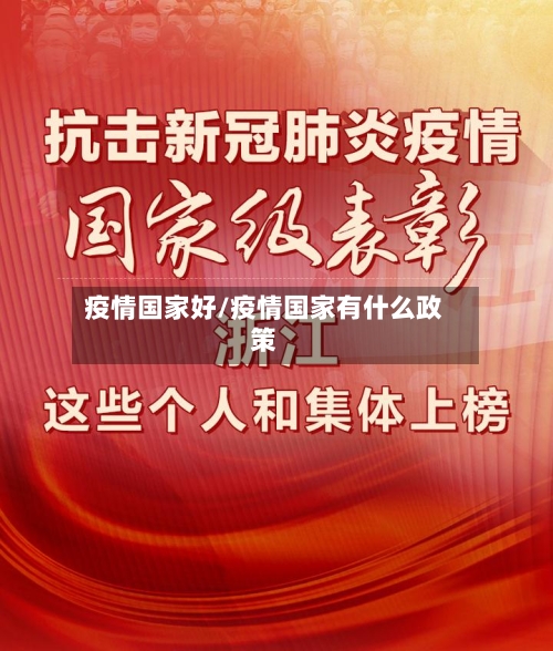 疫情国家好/疫情国家有什么政策-第2张图片