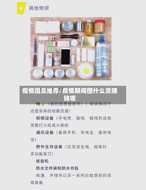 疫情囤货推荐/疫情期间囤什么货赚钱呢-第3张图片