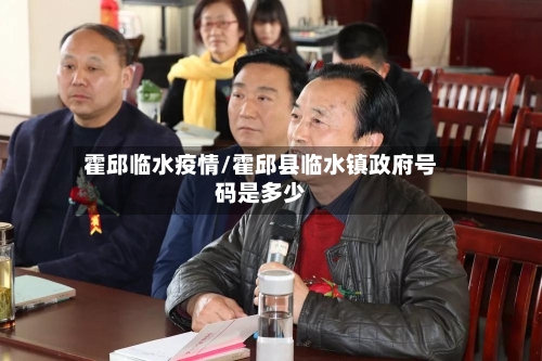 霍邱临水疫情/霍邱县临水镇政府号码是多少