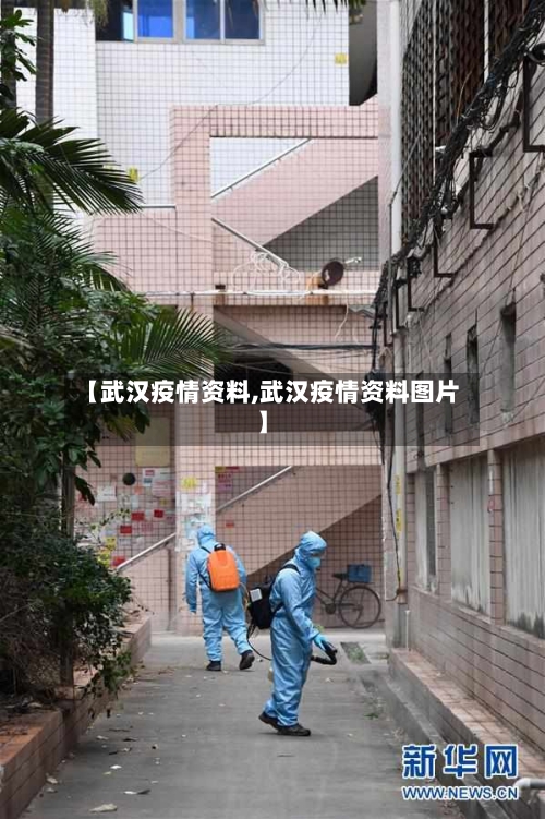 【武汉疫情资料,武汉疫情资料图片】