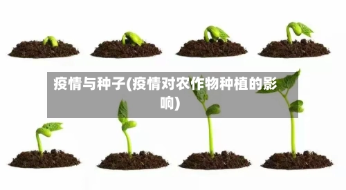 疫情与种子(疫情对农作物种植的影响)-第2张图片