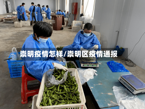 崇明疫情怎样/崇明区疫情通报-第3张图片