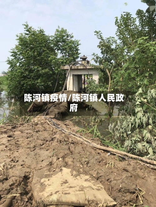 陈河镇疫情/陈河镇人民政府-第3张图片