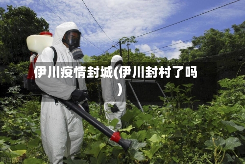 伊川疫情封城(伊川封村了吗)-第2张图片